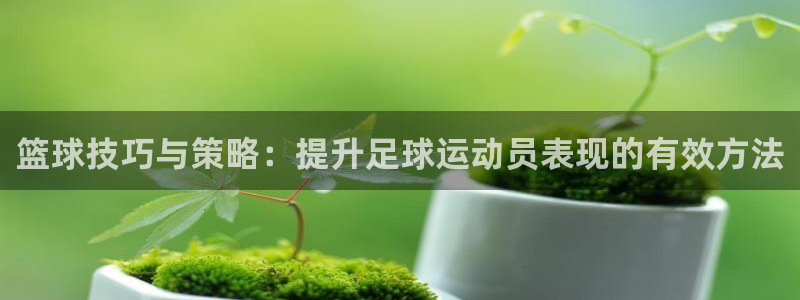 3377体育官网下载招商电话号码:篮球技巧与策略:提升足球运