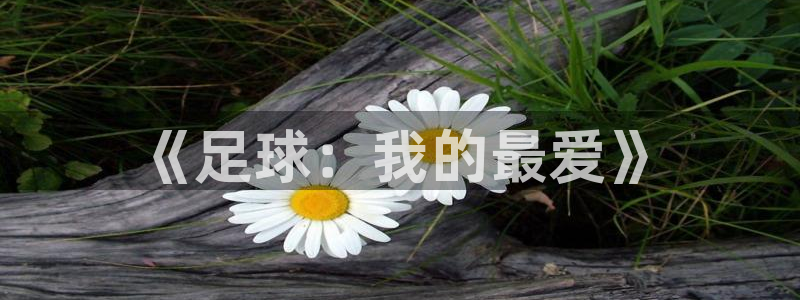 3377体育官网下载平台假的吗是真的吗吗:《足球:我的最爱》