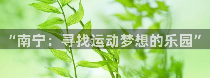 3377体育官方正版app娱乐下载:“南宁:寻找运动梦想的乐